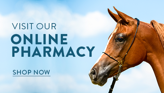 Online Pharmacy and Store